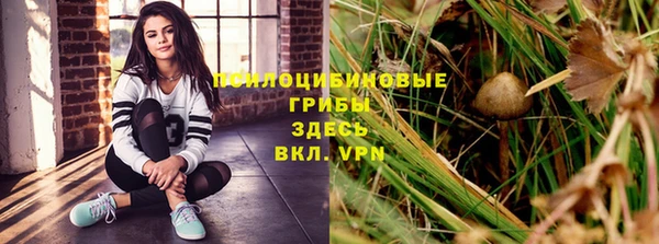 MDMA Приозерск