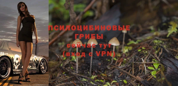 MDMA Premium VHQ Ленинск