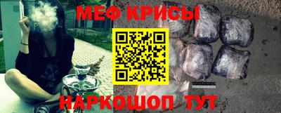 крисы Кингисепп