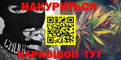 крисы Кингисепп