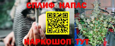 прущие грибы Кинель
