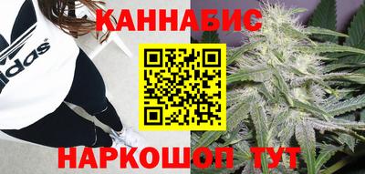 крисы Кингисепп