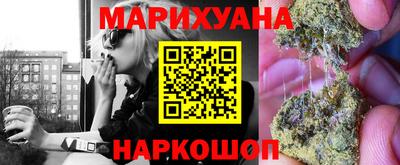 крисы Кингисепп