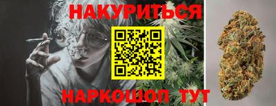 крисы Кингисепп