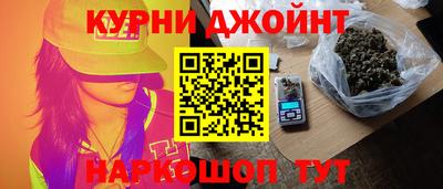 крисы Кингисепп