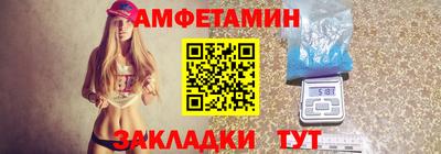 крисы Кингисепп