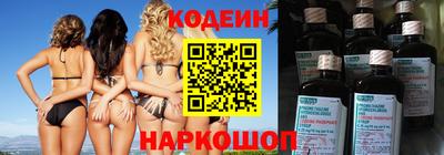 крисы Кингисепп