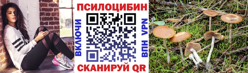 Галлюциногенные грибы Magic Shrooms  Сибай 