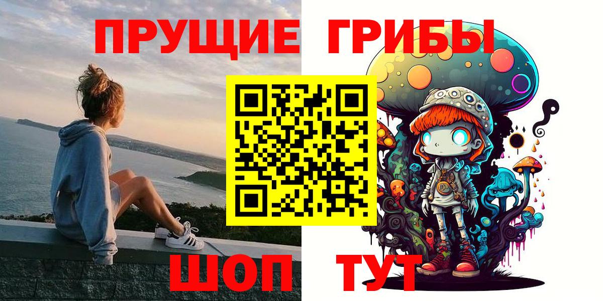 Псилоцибиновые грибы Psilocybe Сибай